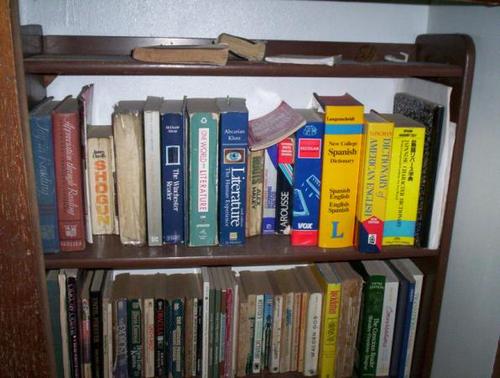 FabiolaVega8's profile picture. Aamo l0oos conciierthos eso es geniial amOo el helado es tan riiko mmm