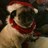 shelleymac65's profile image