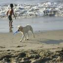 ivan m. plata - @ivan_plata - Twitter