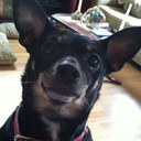 Thomas Bates - @tmsandrck - Twitter