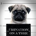 madison tipton - @madisontipton - Twitter