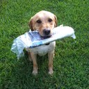 Jayme Meyer - @jaymeyer1 - Twitter