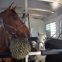 Gail Shepherd - @gailmntrs - Twitter