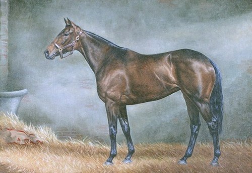 Southern California Thoroughbred Rescue, an accredited 501(c)(3) charity devoted to rescuing, rehabilitating, re-training and adoption of at risk thoroughbreds