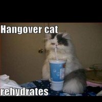 cord harvey (@harveycord) 's Twitter Profile