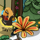 Hi Penguins! Tayloro Here! I am really excited to release my new blog Waddle On (http://t.co/aSK8hDMpLs)! It's going to be a fun year, Waddle On!