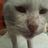 michu_callejera's profile image