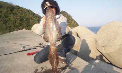10stella's profile picture. 重度のエギング中毒者！！福岡をホームに南は鹿児島まで九州を駆け巡っておりましたが、仕事の都合で現在は鹿児島でたのしんでます 。 釣りを通してたくさんの方と交流が深められたらと思っています。ヒラメ、チニング、落とし込み、アジング、シーバスも好きです♪