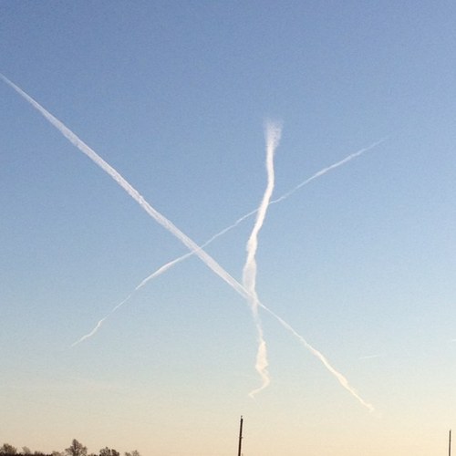 timocroppy's profile picture. I work in the seed industry in Central Nebraska. opions and views expressed are my own.