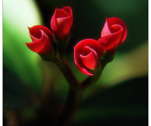 eggandkr's profile picture. 