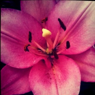 rozadavia's profile picture. I like you too.