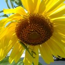 Travis Saunders - @M9aceTravis - Twitter