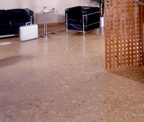 corkfloorstogo's profile picture. CorkFloorstogo  provides high quality, vibrantly colored cork flooring, cork tiles and cork floating floors in California, New York, Texas, New Jersey regions .