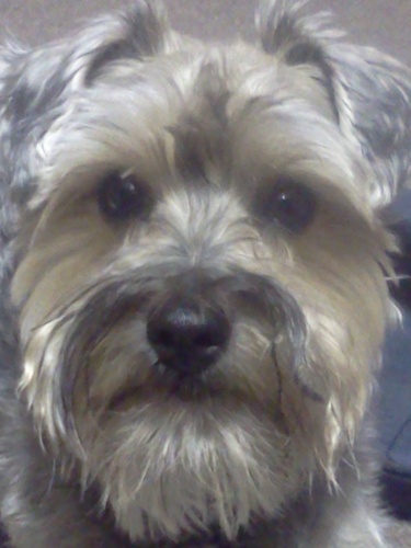 Zeeve012's profile picture. 