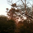 Moe Smith - @SmithyChippys - Twitter