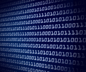 CodePlug's profile picture. Your Ultimate Web Solution...