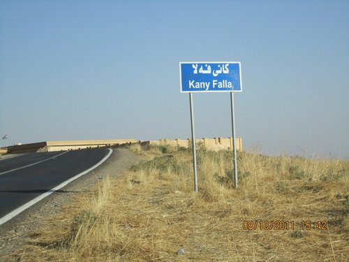 toonarmy017's profile picture. 