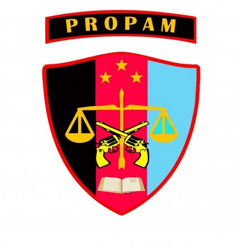 Bidang Profesi dan Pengamanan Kepolisian Daerah Metropolitan Jakarta Raya dan sekitarnya
Telp: 021-5234469