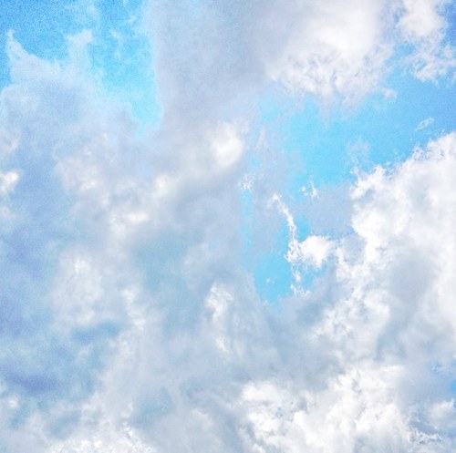 insomnia_dreams's profile picture. height: 5' 10 sw: 170 gw1: 150 gw2: 140 ugw: 120