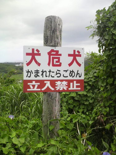 惰眠