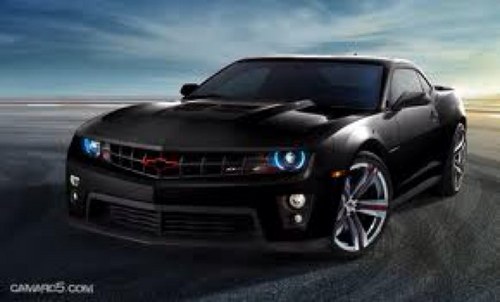 sam043002's profile picture. 