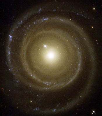spiraloctave's profile picture. 
