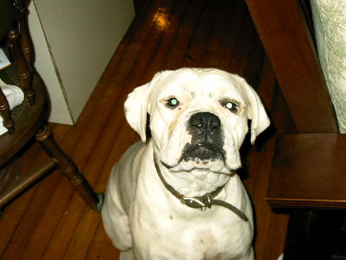 docsavage59's profile picture. 