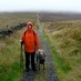 Susan Y. Chipchase (@chipchasesy) Twitter profile photo