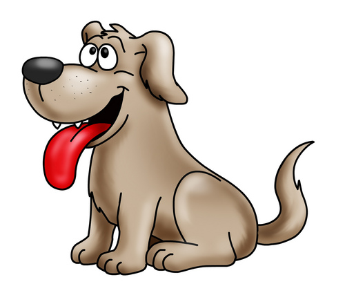 O Cidade dos Pets existe para lhe oferecer informações sobre saúde, desenvolvimento, produtos e serviços para seu animal de estimação. Entre e fique à vontade.