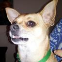 james esslinger - @SicilianSling - Twitter