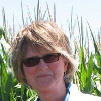 Pam (@pamjohnsoncorn) 's Twitter Profile