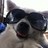 CorrenaB's profile image