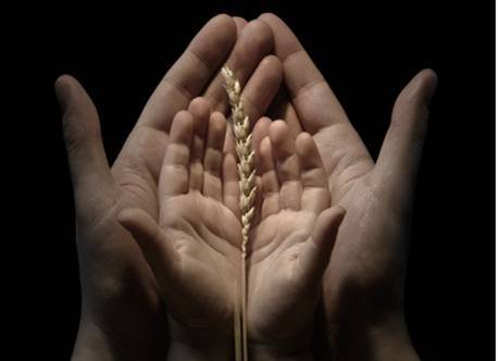 Quando lemos a Palavra de Jesus Cristo Nosso Senhor ... somos renovados como pinos, elevando-nos à sua presença ....