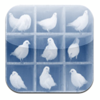 Productivity advice and workforce management tips from the leading content management app for iPad