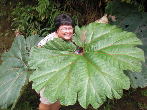 tsc222's profile picture. I am a third grade teacher! And I love to travel!