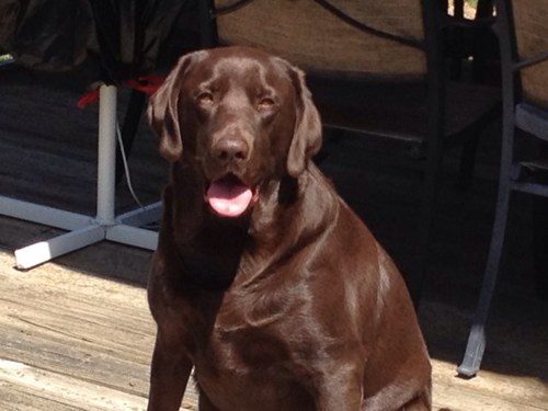 Mortellaro's profile picture. 