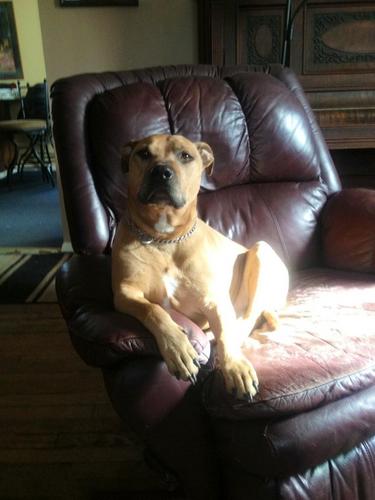 april279's profile picture. LMT