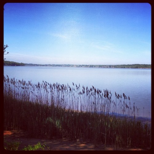 jb34lax's profile picture. 