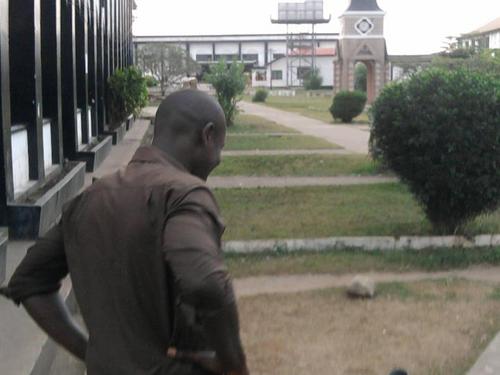 Amicablek's profile picture. That's me