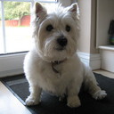 Doreen Day - @DarloDor - Twitter