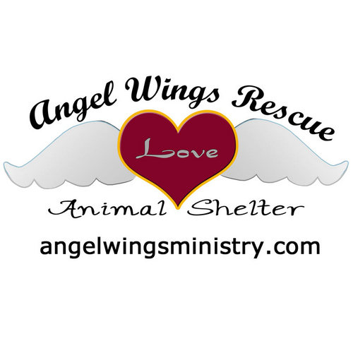 AWPetRescue's profile picture. Angel Wings Rescue is an Animal Shelter run by Debra Lawson, an ex-nurse with a huge heart for animals and she loves them as her own.
