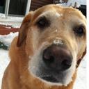 Peter Gilbertson - @PeterGilbertson - Twitter