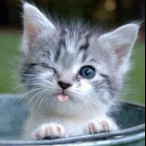 tukasaryu's profile picture. 【小さな頃からの無自覚な学習や思い込み、体験の記憶と感情が主体となり「わたし」を作り、操る。】 余命10日からの奇跡的生還。生き方の転換による人生の好転。そうした体験から快感ワークと幸せな未来脳創りを主催