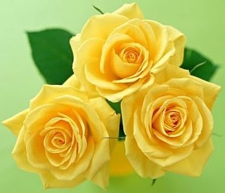 step_51's profile picture. 