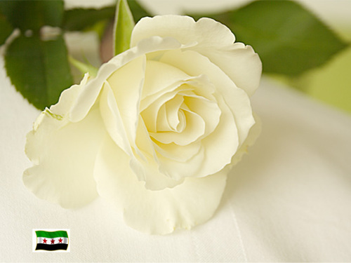 من سقى الغير يذق طعم الرواء♥