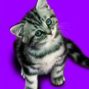 daniel dressel - @beinab - Twitter