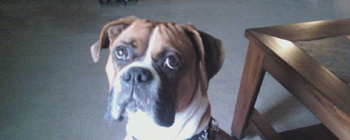 pittman0719's profile picture. 