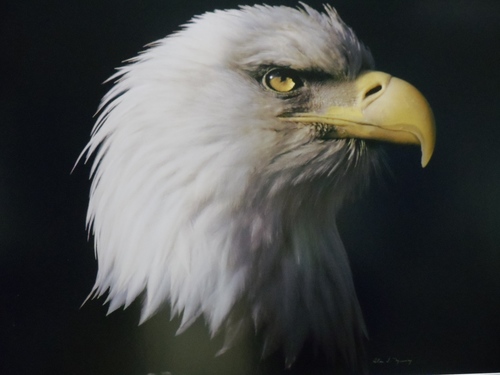 kenwarheroes's profile picture. retired