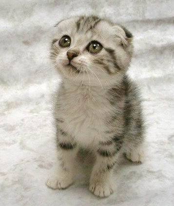 largebei's profile picture. 真的嗎？