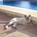 Donnington Cat (@donningtoncat) Twitter profile photo Donnington Cat (@donningtoncat) Twitter profile photo